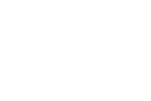 evo logo