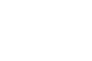Pulp & Press